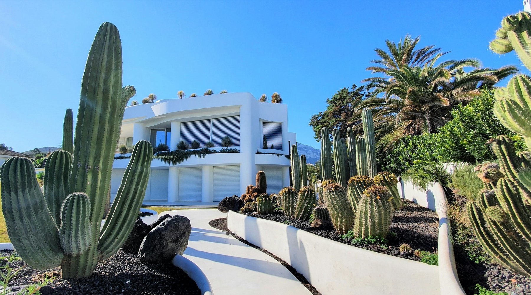 Villa moderna con jardín de cactus y palmeras